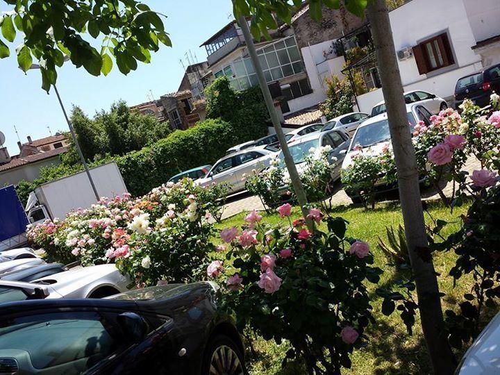 Hotel Jolly Castrovillari Dış mekan fotoğraf